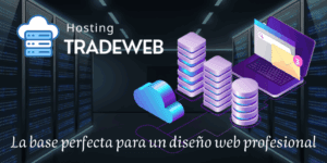 Claves para un Diseño Web Profesional TradeWeb Agencia de Diseño Web
