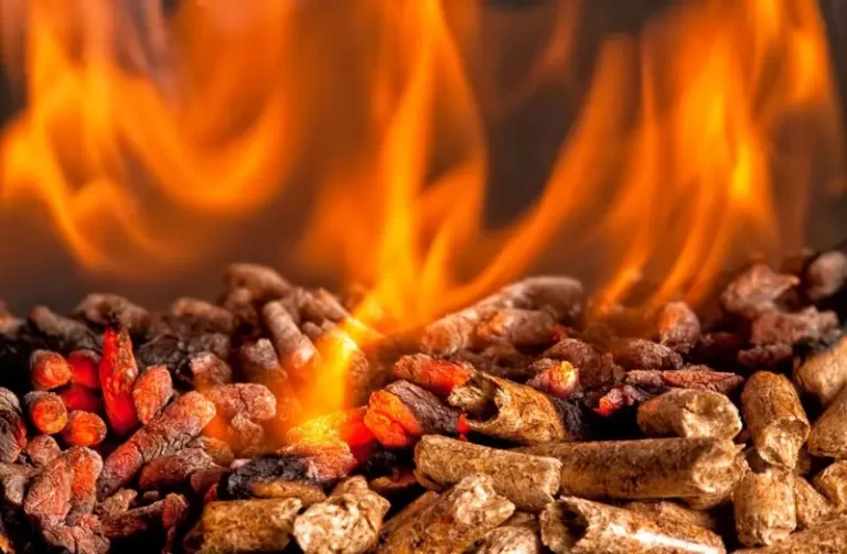 1_que_son_los_pellets_de_madera-768x503